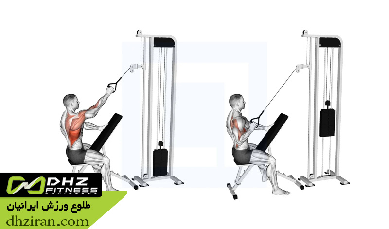 کشیدن سیم کش تک دست به سمت پشت (Single Arm Cable Row): 2